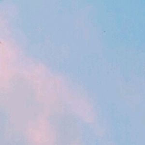 Meet your Posher, Carolina